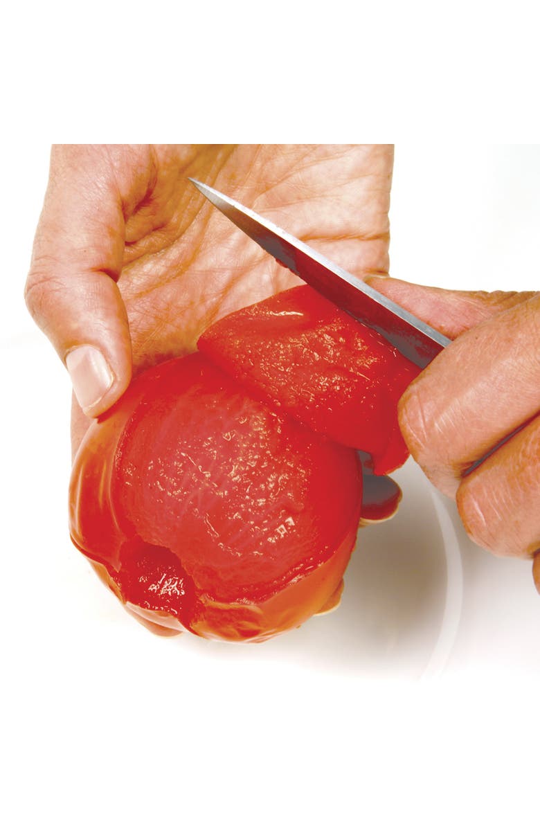 Norpro 2.25 Quart Jumbo Tomato Press, Alternate, color, Red