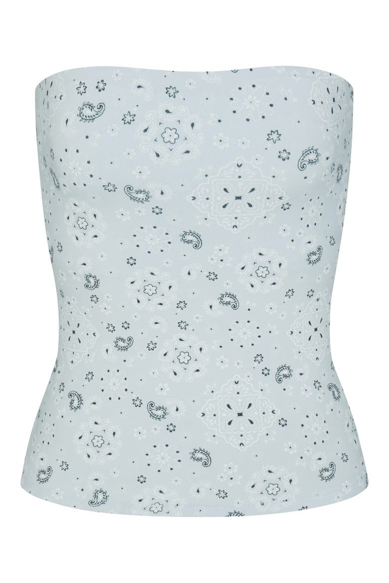 Stretch Cotton Jersey Tube Top, Alternate, color, POWDER BLUE BANDANA