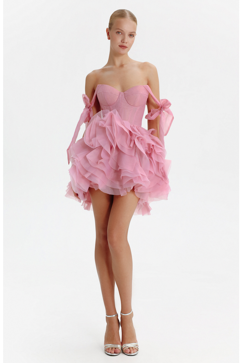Corset Mini Evening & Special Occasion Dress with Floral Appliques, Main, color, Pink