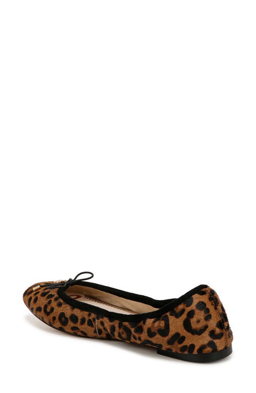 SAM EDELMAN SAM EDELMAN FELICIA BALLET FLAT 