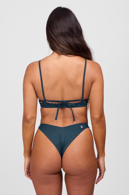 Shop Jolyn Jessica Bikini Bottom