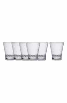 Fortessa Set of 6 Outdoor Juice Glasses