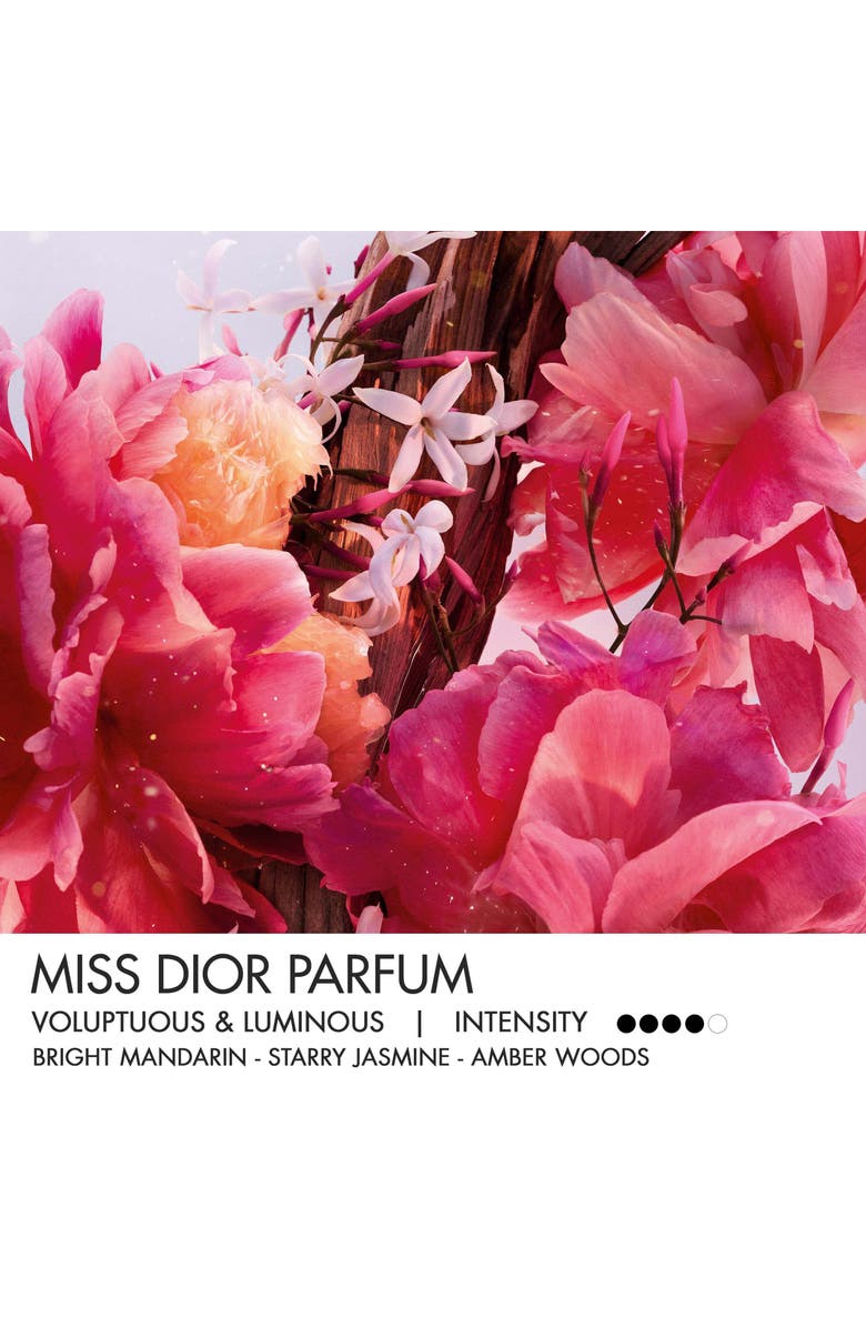 DIOR Miss Dior Parfum Mini Solid Perfume, Alternate, color, 
