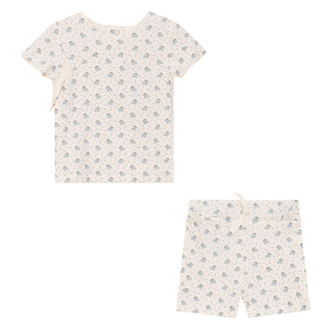 Fruit Print 2 Piece Short Sleeve Top and Shorts Set (Baby)