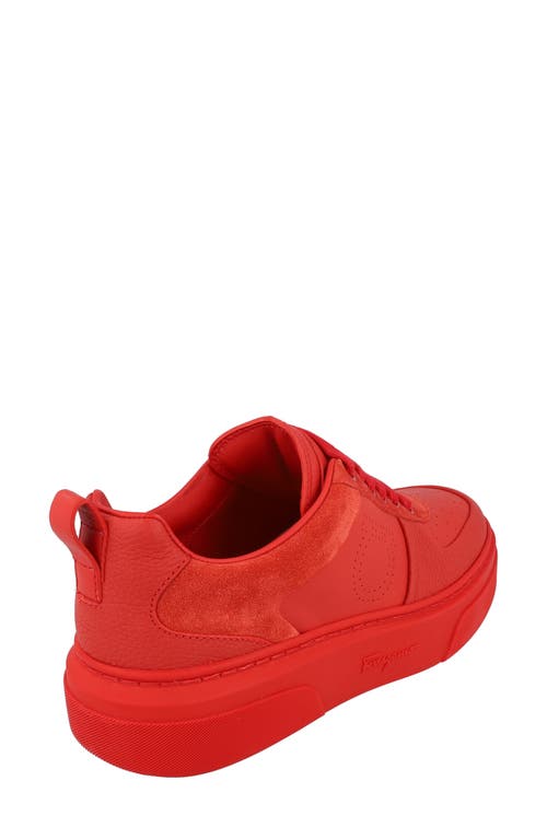Ferragamo Cassina Low-top Sneakers In Red
