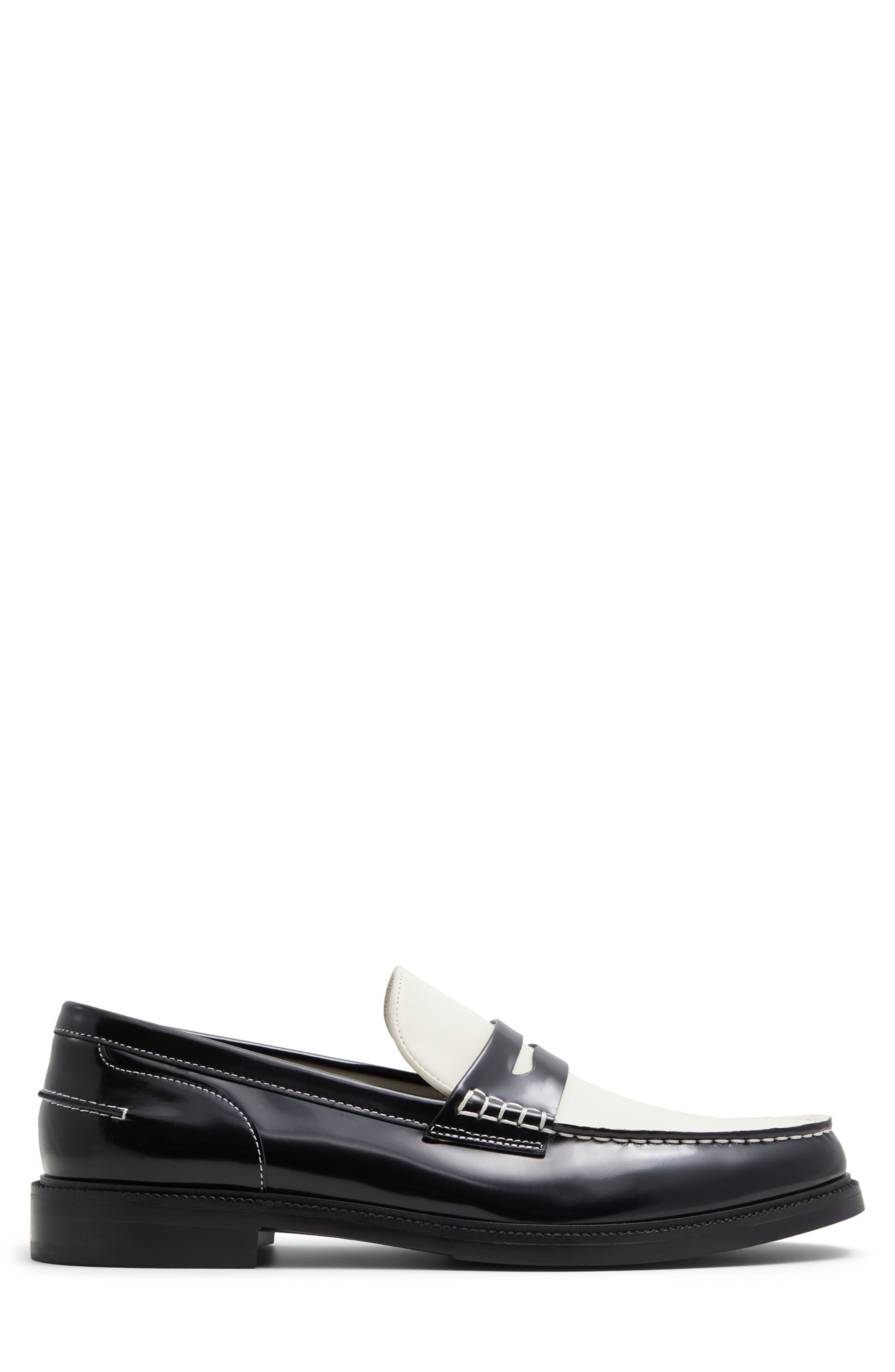 ALDO Kieran Penny Loafer, Alternate, color, 