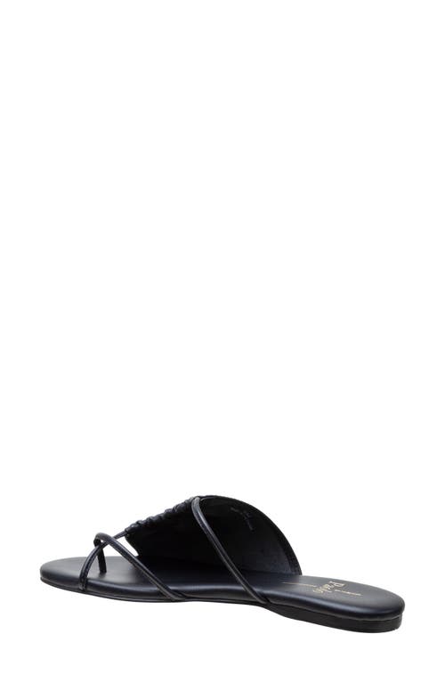 Linea Paolo Lane Toe Loop Sandal In Black