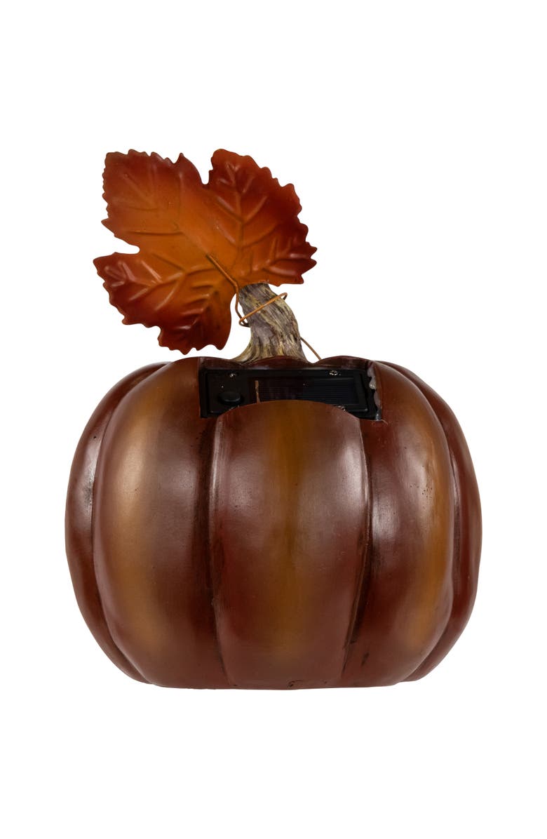 Northlight LED Lighted Solar Powered Floral Fall Harvest Pumpkin Outdoor Decoration - 8", Alternate, color, Brown