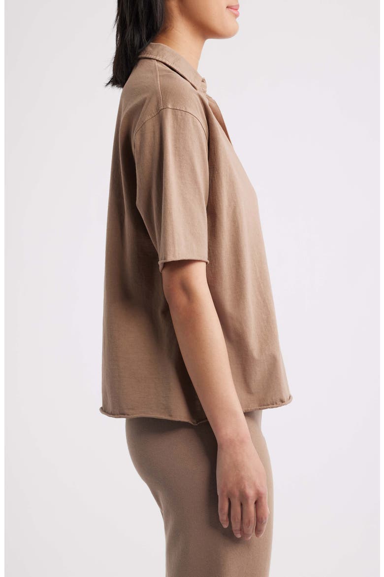 Patty Popover Henley Top, Alternate, color, TOASTED