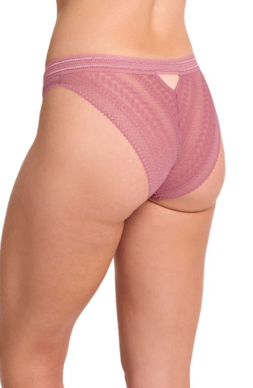 Montelle Intimates Rosaline Bikini Cut Briefs In Rose