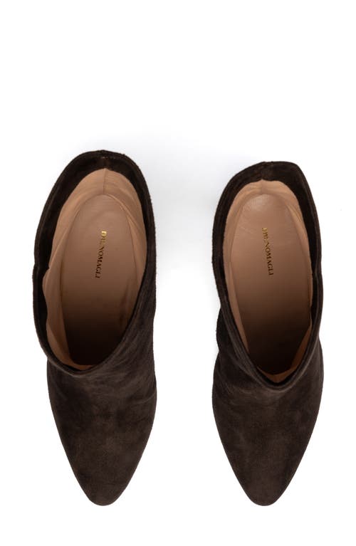 Bruno Magli Pistoia Bootie In Brown Suede