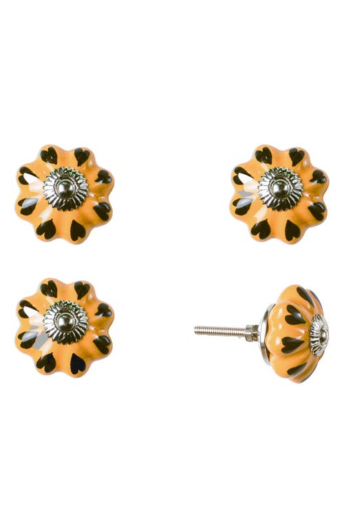 Kinetic 12-pack Knobs In Golden Flower