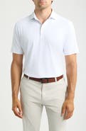 Peter Millar Clark Stripe Summer Comfort Performance Jersey Polo