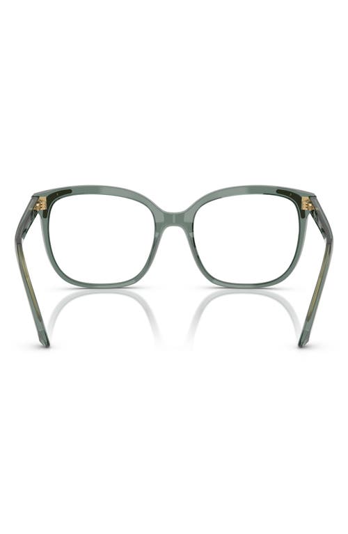 Swarovski 52mm Butterfly Optical Glasses In Gray