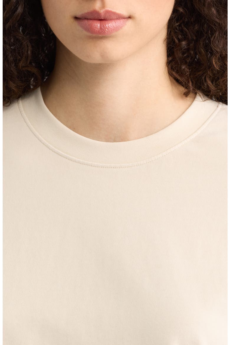 Luxe Cotton Blend Jersery Crewneck T-Shirt, Alternate, color, WHITECAP