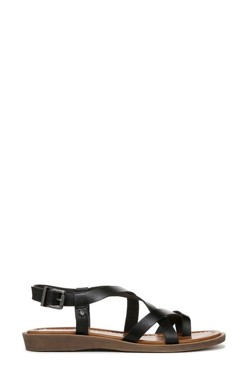 Shop Blowfish Malibu Devon Sandal In Black Faux Leather