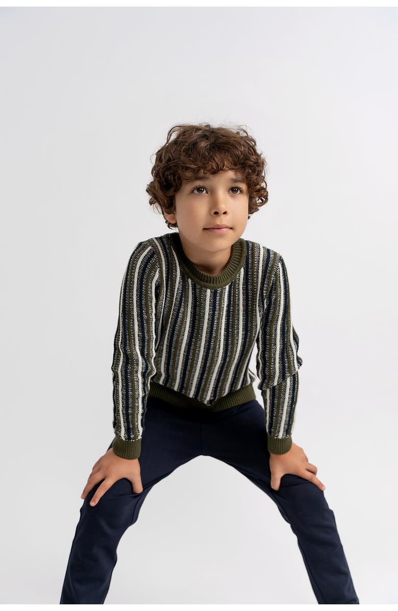 No18 Kids Striped Knit Ribbed Cuffs and Hem Sweater, Alternate, color, Grey
