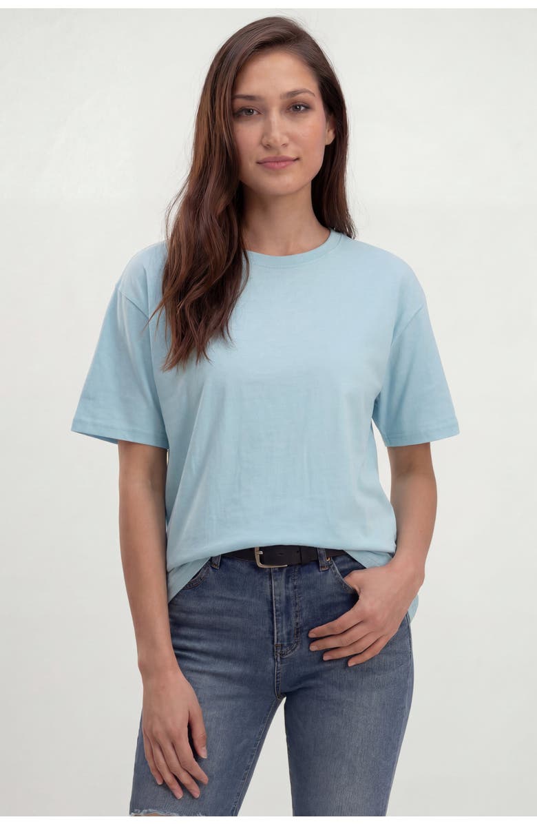 Solomon & Sage Women's Relax Crewneck Tee, Alternate, color, Sky Blue