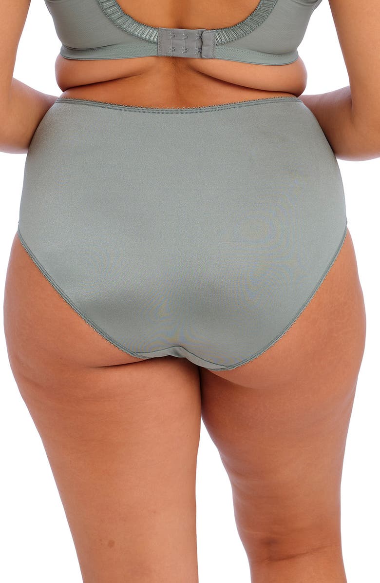 Elomi Cate Full Figure High Waist Briefs, Alternate, color,