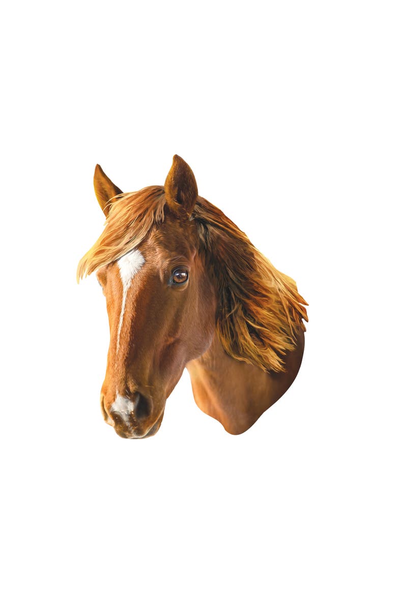 Furry Puzzle - Horse 48 Piece Jigsaw Puzzle, Alternate, color, Multicolor