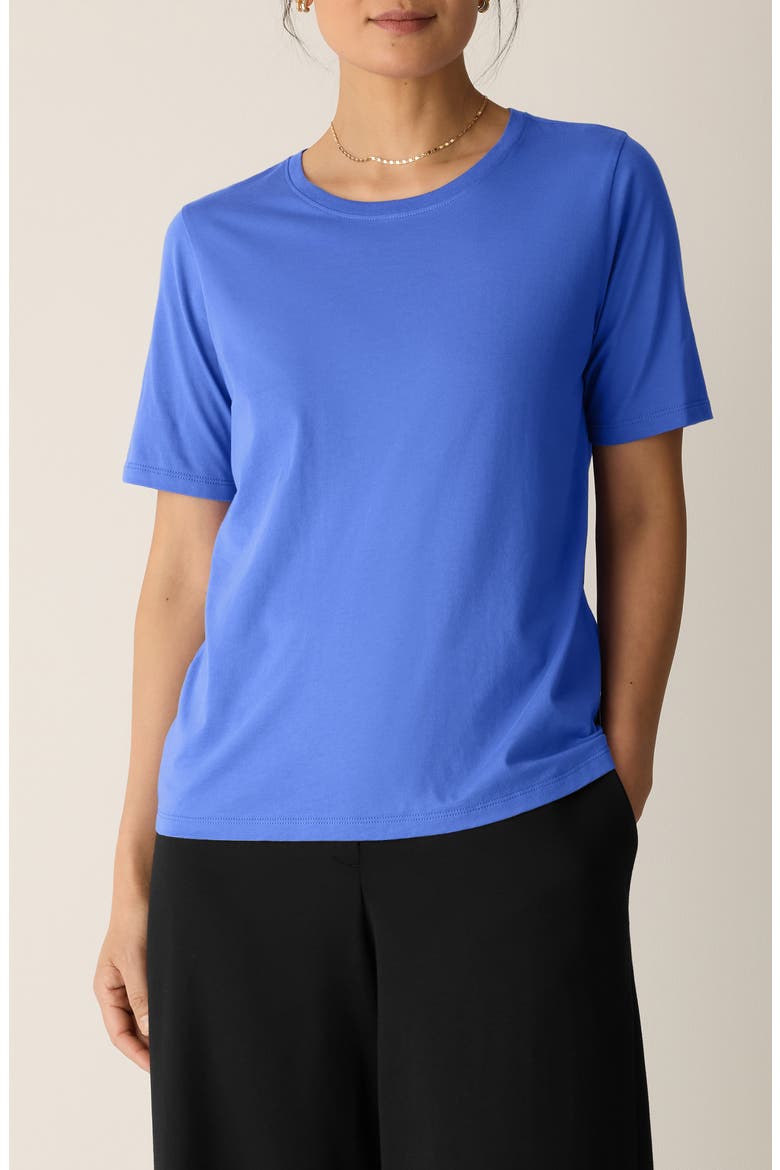 Crewneck Organic Cotton T-Shirt, Main, color, BLSTR