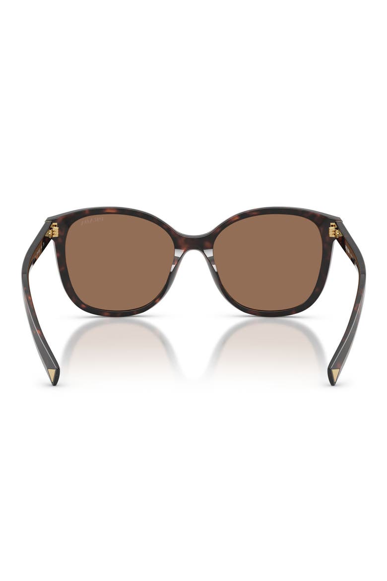 53mm Gradient Square Sunglasses, Alternate, color, ROOT TORTOISE / DARK BROWN