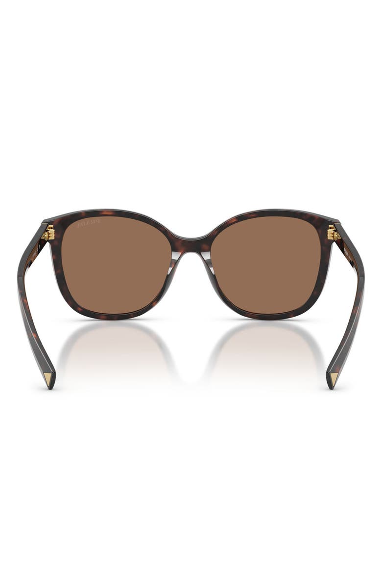Prada 53mm Gradient Square Sunglasses, Alternate, color, Root Tortoise / Dark Brown