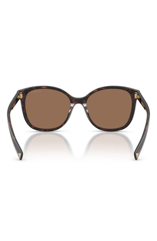 Prada 53mm Gradient Square Sunglasses In Brown