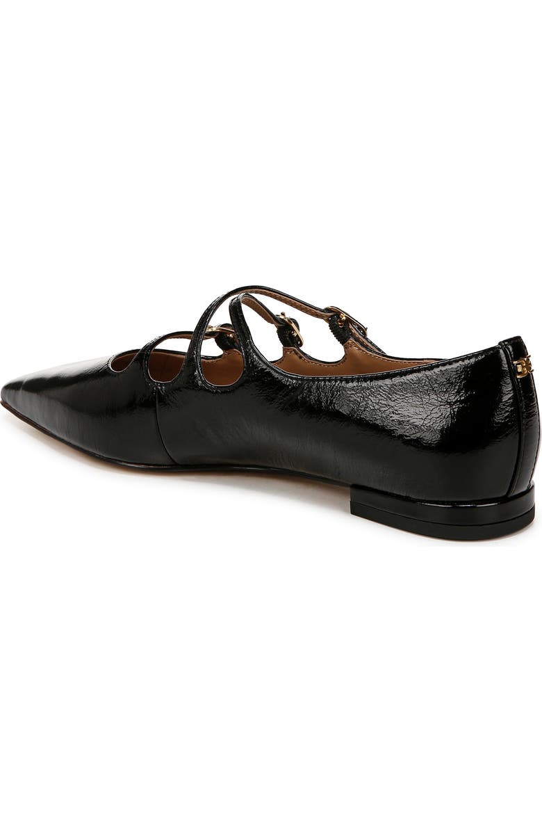 Sam Edelman Cass Pointed Toe Flat, Alternate, color,
