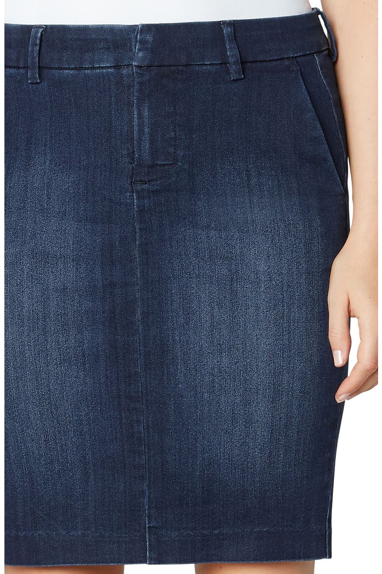Denim Pencil Skirt, Alternate, color, GRANVILLE