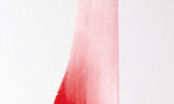 6 ABSTRACT RED