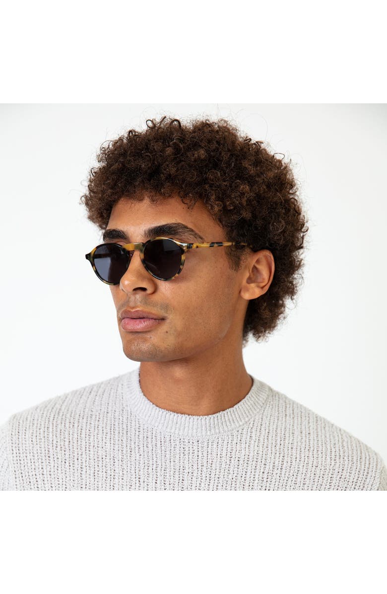 Illesteva Capri Sunglasses, Alternate, color, Champagne / Olive