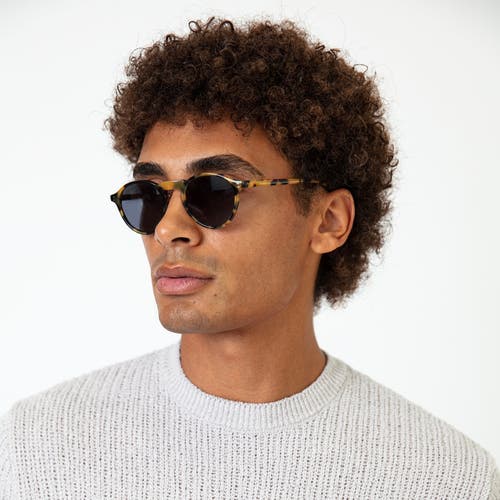 Illesteva Capri Sunglasses In Multi