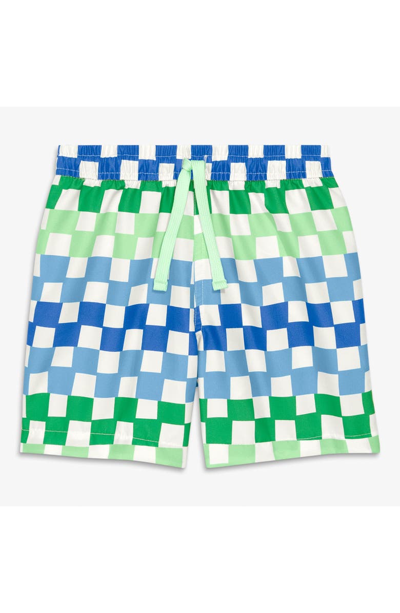 Primary Kids Swim Trunk In Check, Main, color, Green Apple Multi Checks