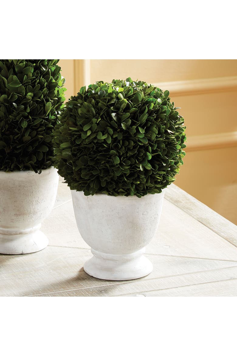 Boxwood Ball Topiary In Pot Large, Alternate, color, Green