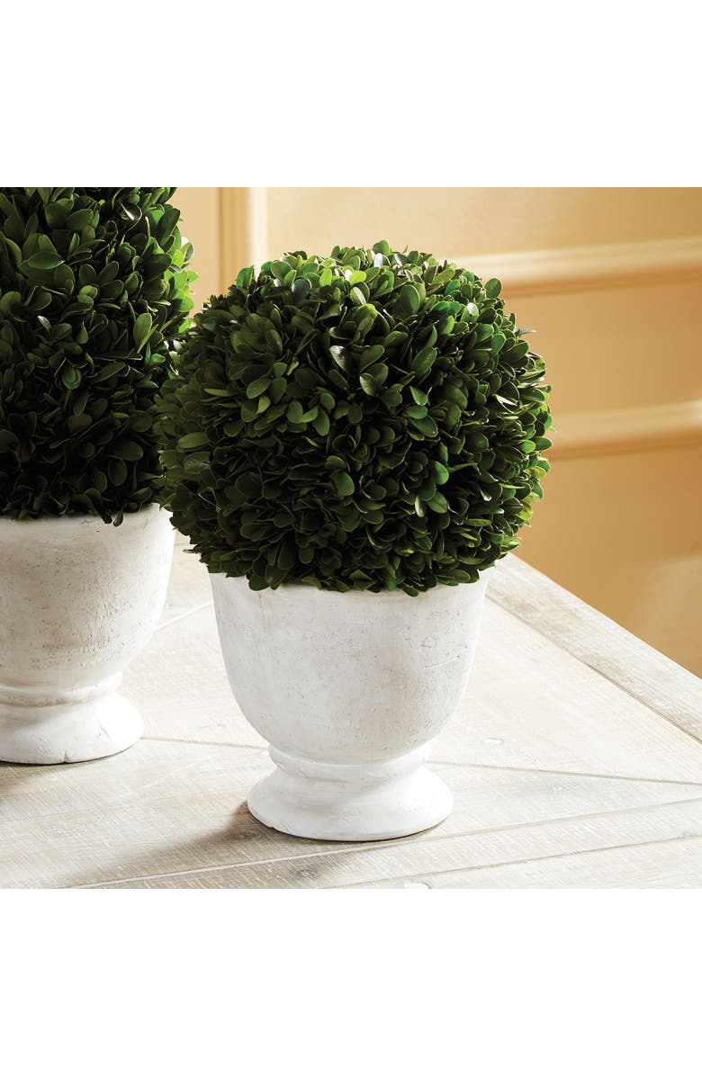 Napa Home & Garden Boxwood Ball Topiary In Pot Large, Alternate, color, Green