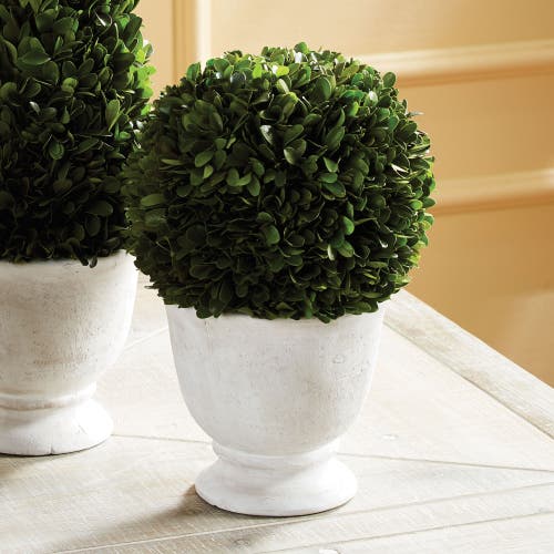 Napa Home & Garden Boxwood Ball Topiary In Pot Large In Multi
