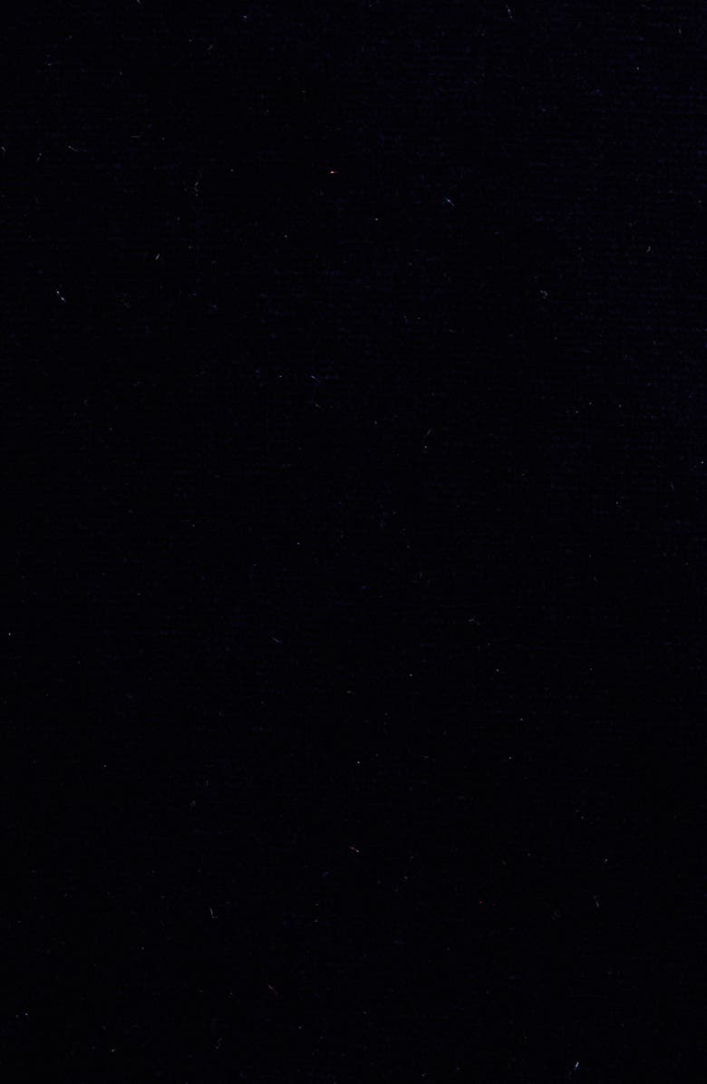 AK ANNE KLEIN Long Sleeve Velvet Button-Up Shirt, Alternate, color, 