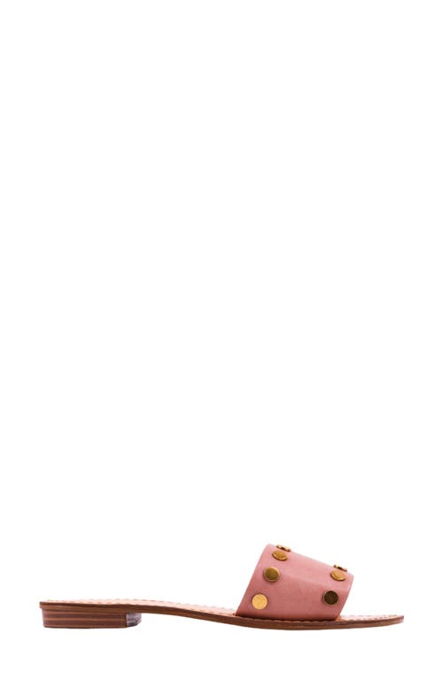 Shop Shushop Bernadette Slide Sandal