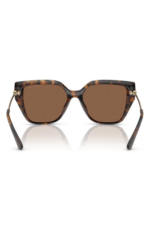 Michael Kors 54mm Square Sunglasses In Dk Tort