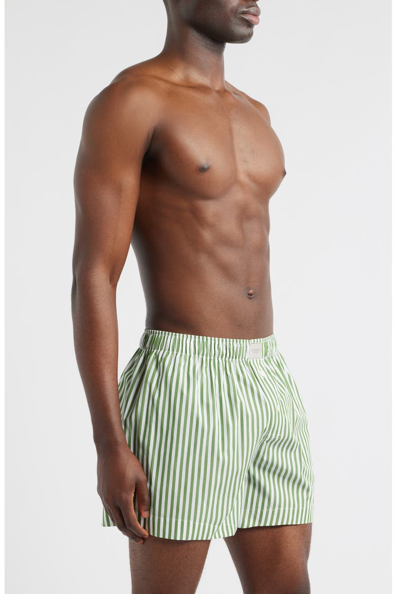 Gender Inclusive La Boxer Classica Cotton Poplin Boxers, Alternate, color, ASSORTED