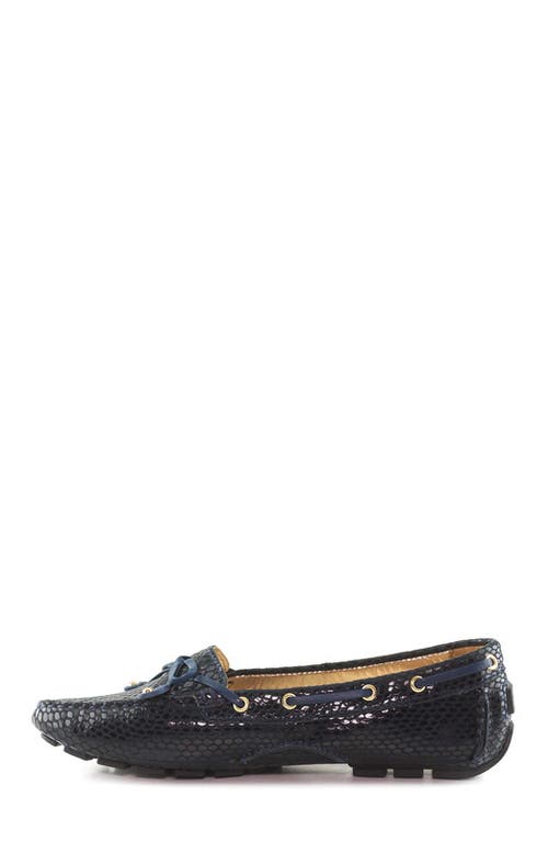 Marc Joseph New York Cypress Hill Leather Tiebow Driver Loafer In Multi