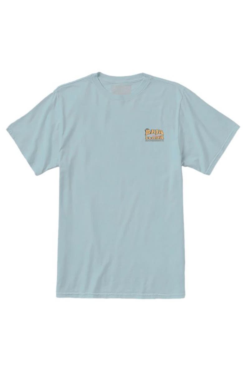 Baja Llama BUS EXPERIENCE - PRIMO GRAPHIC TEE, Alternate, color, Teal