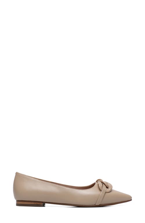 Linea Paolo Nora Pointed Toe Flat In Brown