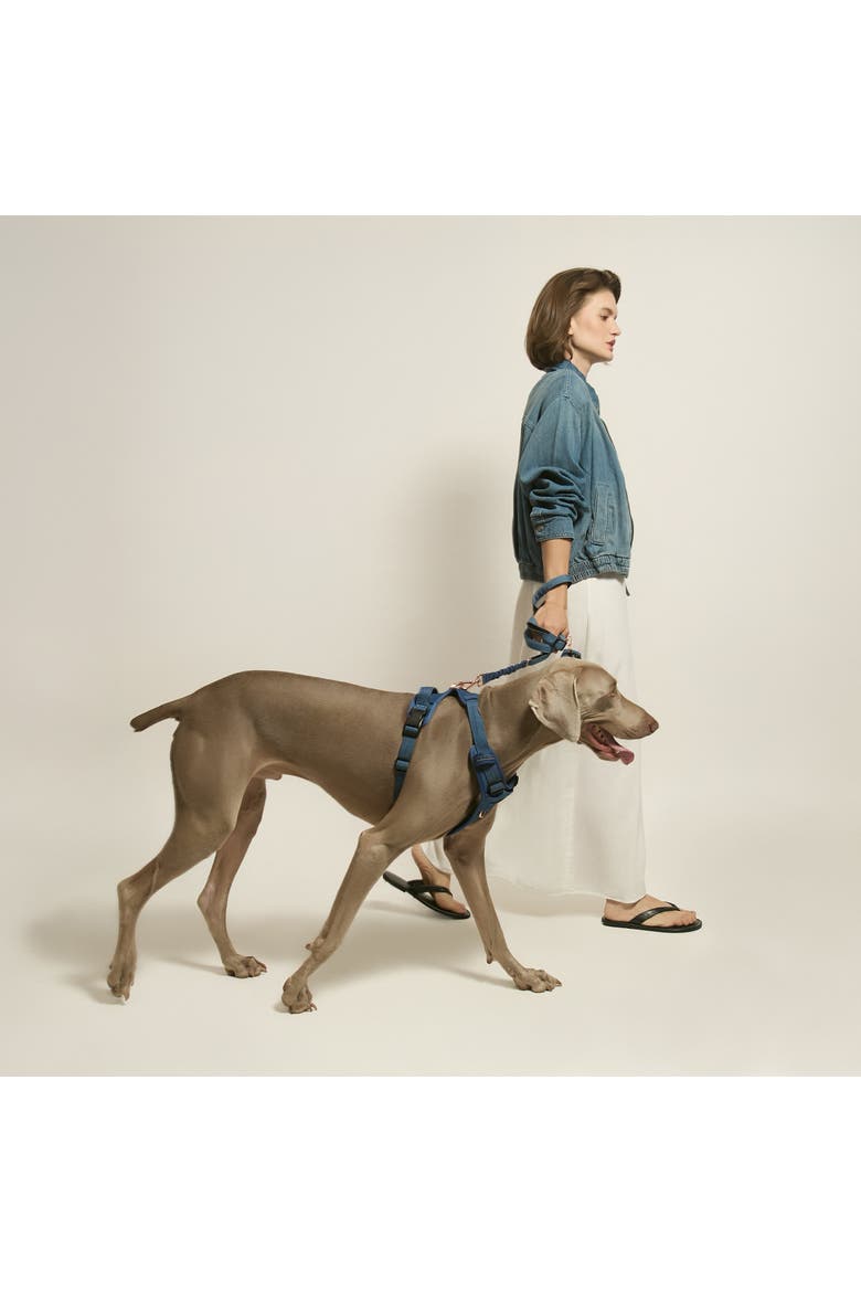The NoMad Adjustable Luxe Harness, Alternate, color, Denim