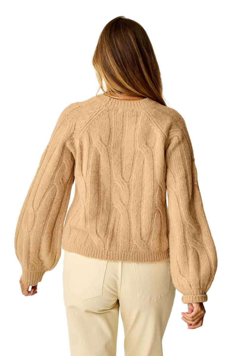 Carve Designs Eloise Wool Sweater, Alternate, color, Camel