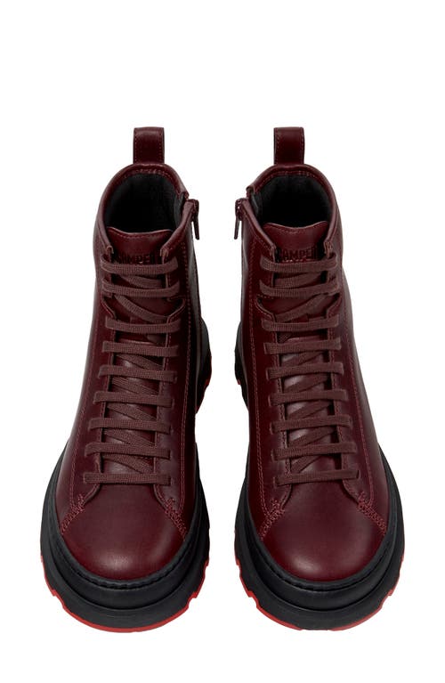 Camper Brutus Lace-up Combat Boots In Burgundy