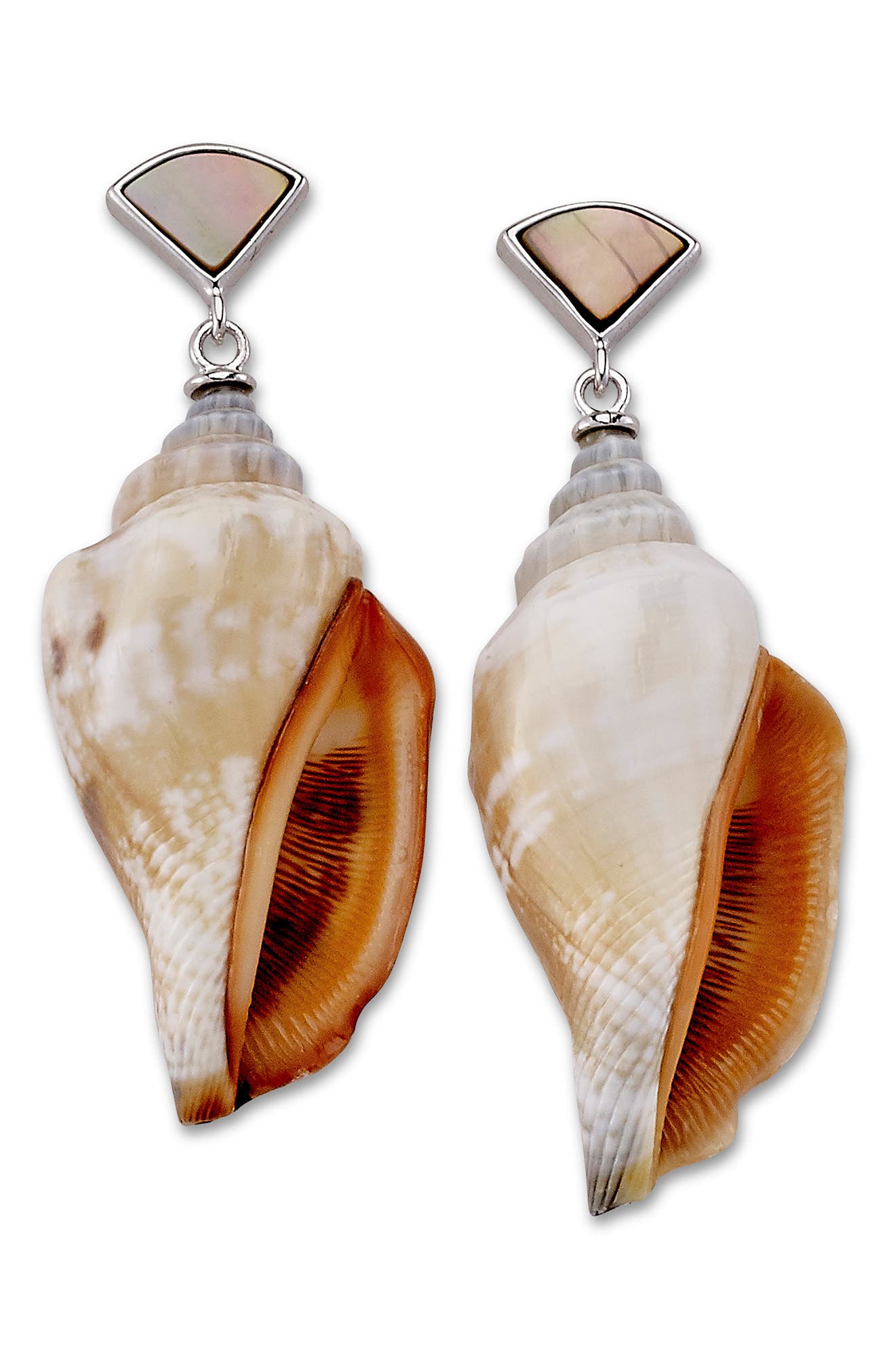 Shell Drop Earrings