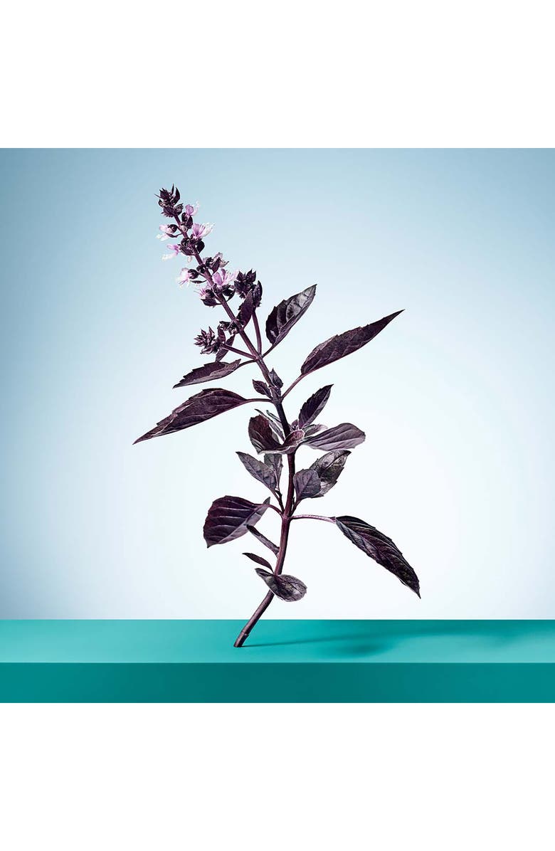 Tiffany & Co. Tiffany & Love Women's Gift Set, Alternate, color, 