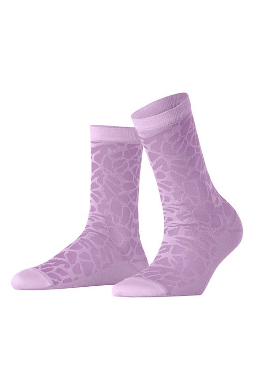 Falke Creole Crew Socks